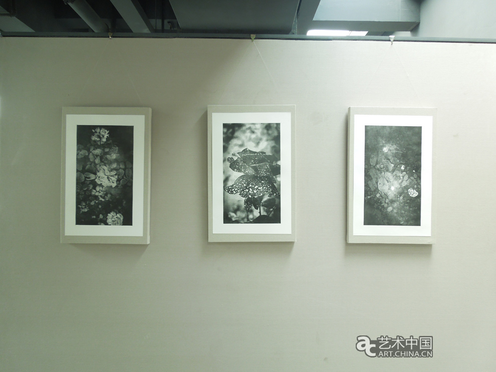 2012天津美術學院本科畢業展,2012,天津美術學院本科畢業展,天津美術學院畢業展,天津美術學院,美院畢業展,畢業展