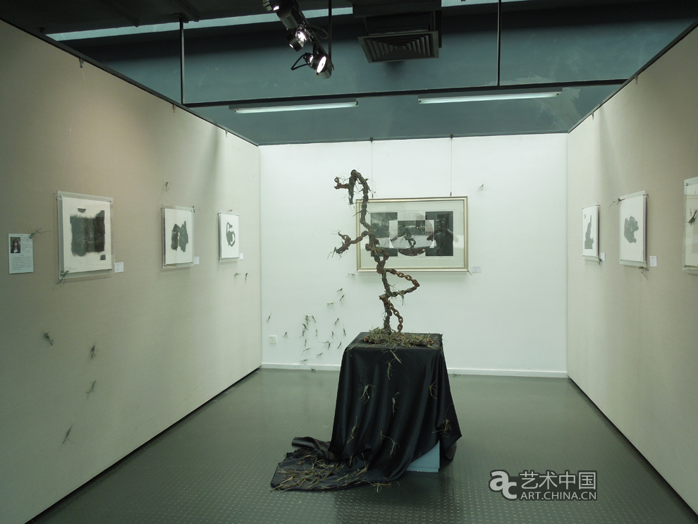 2012天津美術學院本科畢業展,2012,天津美術學院本科畢業展,天津美術學院畢業展,天津美術學院,美院畢業展,畢業展