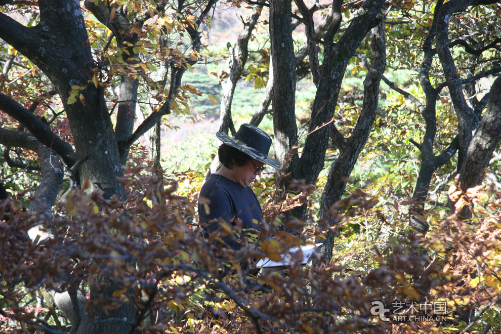 第二屆中外藝術家黃山對話--文化中國夢,第二屆中外藝術家黃山對話,文化中國夢,第二屆,中外藝術家黃山對話,中外藝術家黃山寫生,藝術中國寫生,藝術中國活動